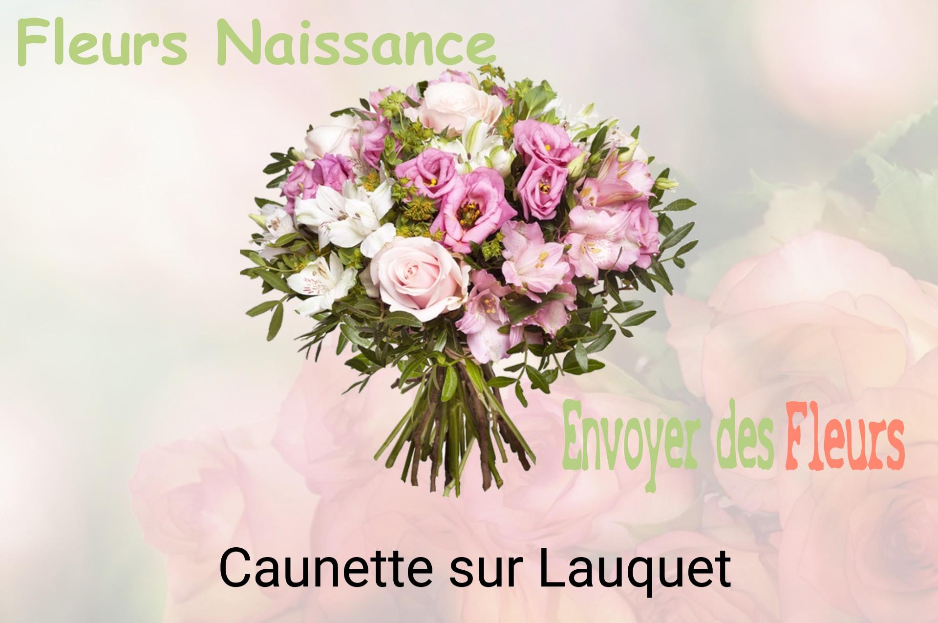 Bouquet de fleurs de naissance livré à Caunette-sur-Lauquet