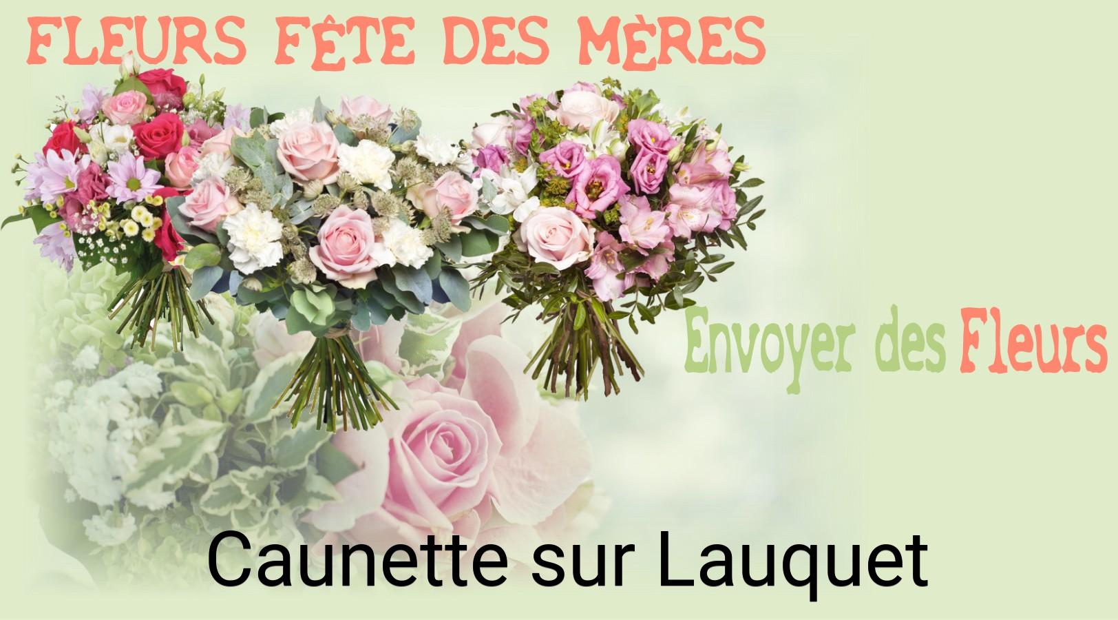 Bouquet de Fête des Mères livré à Caunette-sur-Lauquet